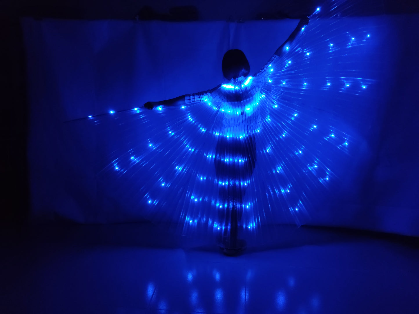 Baisdan Fasion Blue LED Isis Wings Costume Egyptian Belly Dance Show Stage LED Light Up Wings