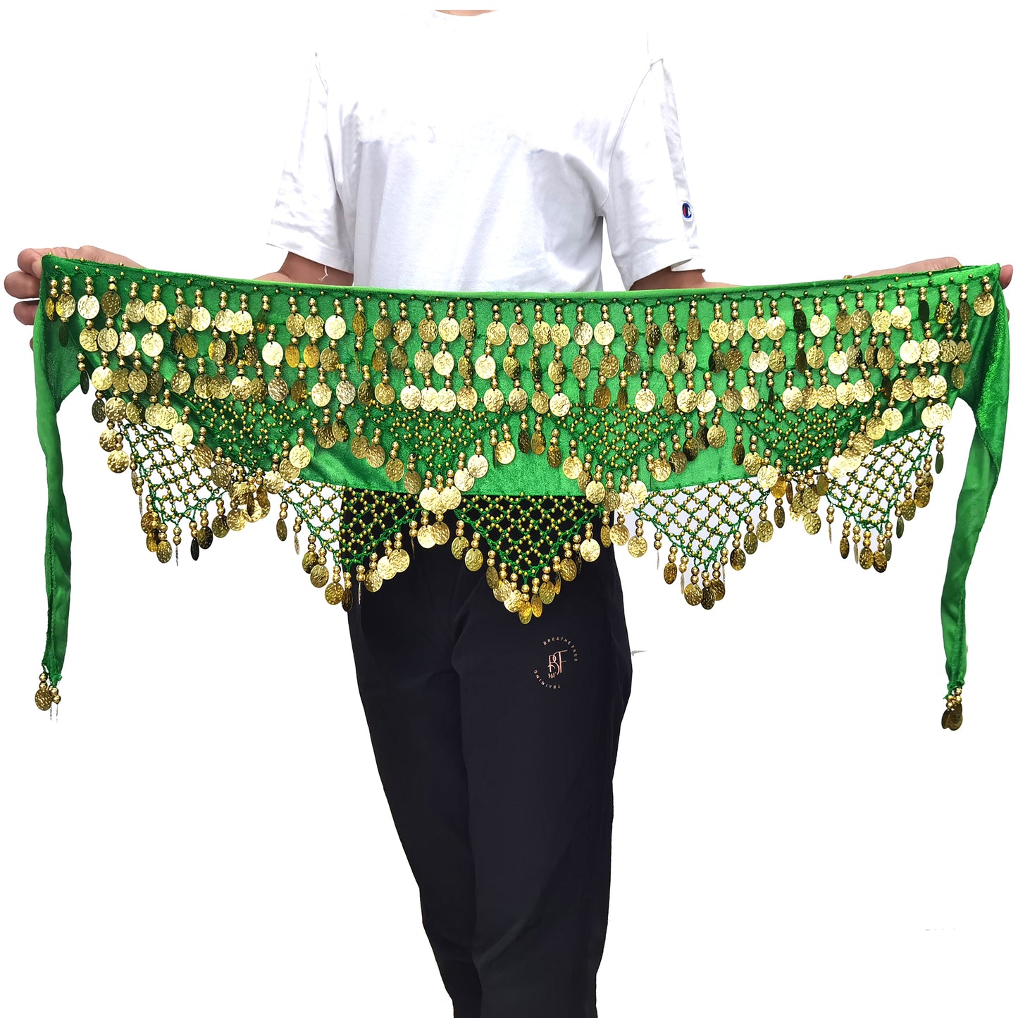 Baisdan Women's Sweet Bellydance Hip Scarf with Gold Coins Skirts Wrap Noisy Skirt