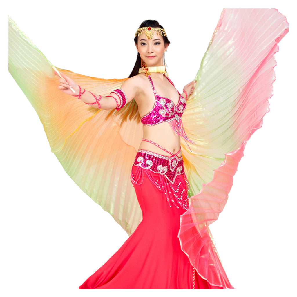 Baisdan Women's Egyptian Egypt New Belly Dance Costume Colorful Isis Wings (Only wing)