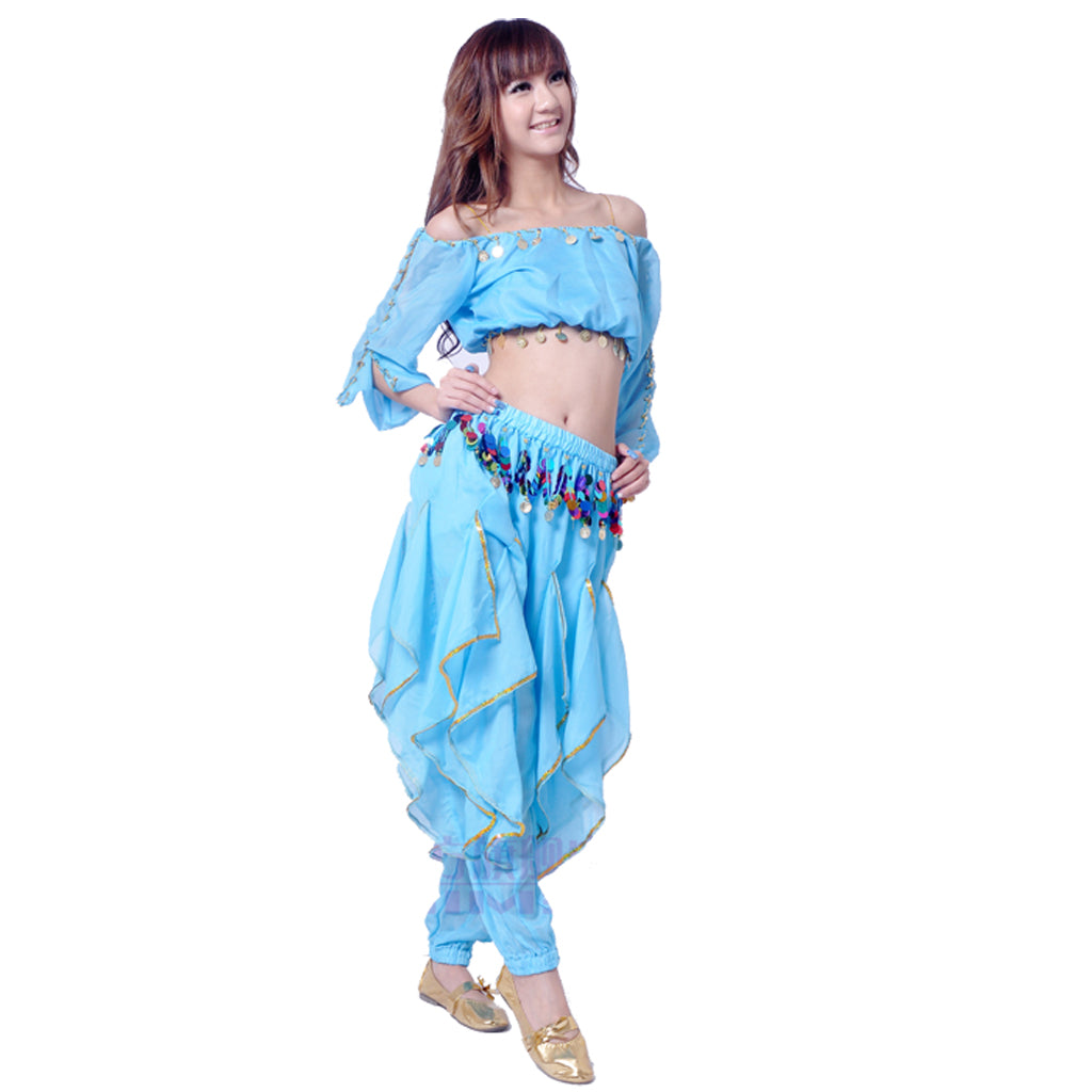 Baisdan Lady's Belly Dance Costume Long Sleeved Top Tribal Sequins Harem Pants