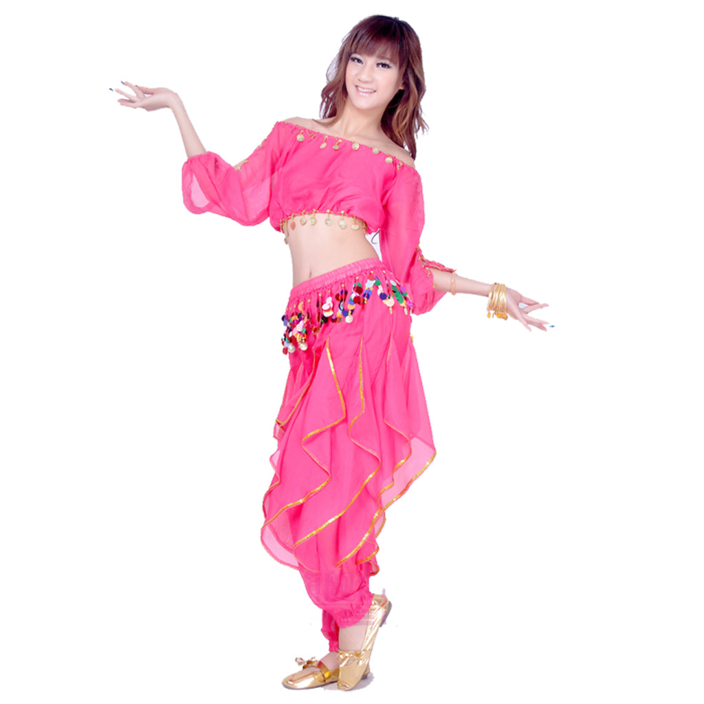 Baisdan Lady's Belly Dance Costume Long Sleeved Top Tribal Sequins Harem Pants