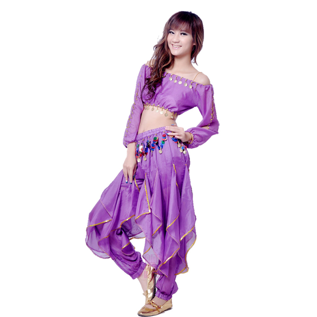 Baisdan Lady's Belly Dance Costume Long Sleeved Top Tribal Sequins Harem Pants