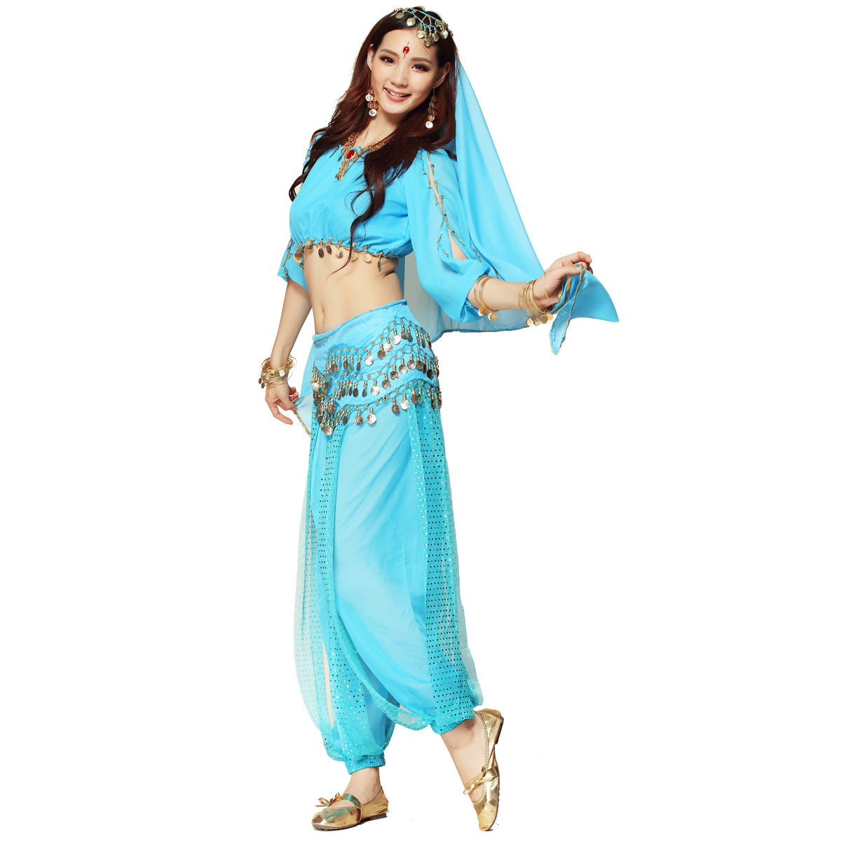 Baisdan Lady's Belly Dance Costume Lanterns Sleeves Top Harem Pants Hip Scarf Veil