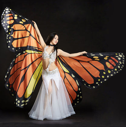 Baisdan Belly Dance Wings Halloween Christmas Party Colorful Butterfly Wings Performance Costumes