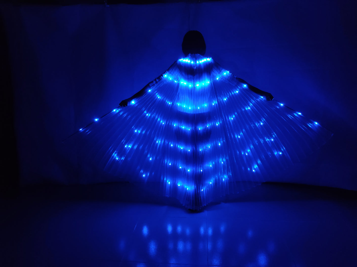 Baisdan Fasion Blue LED Isis Wings Costume Egyptian Belly Dance Show Stage LED Light Up Wings