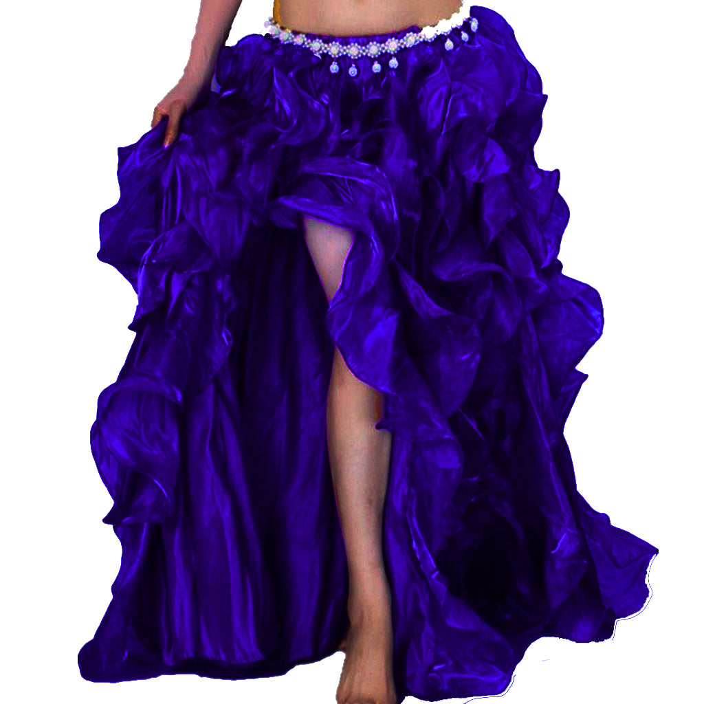 Baisdan Professional Belly Dance Costumes Waves Skirt Dress with slit Skirt