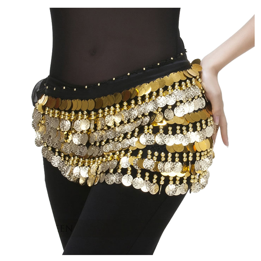 Baisdan Belly Dance Hip Scarf Chiffon Belly Dance Scarf Wrap Belt Tribal Sash Skirt with Gold Coins