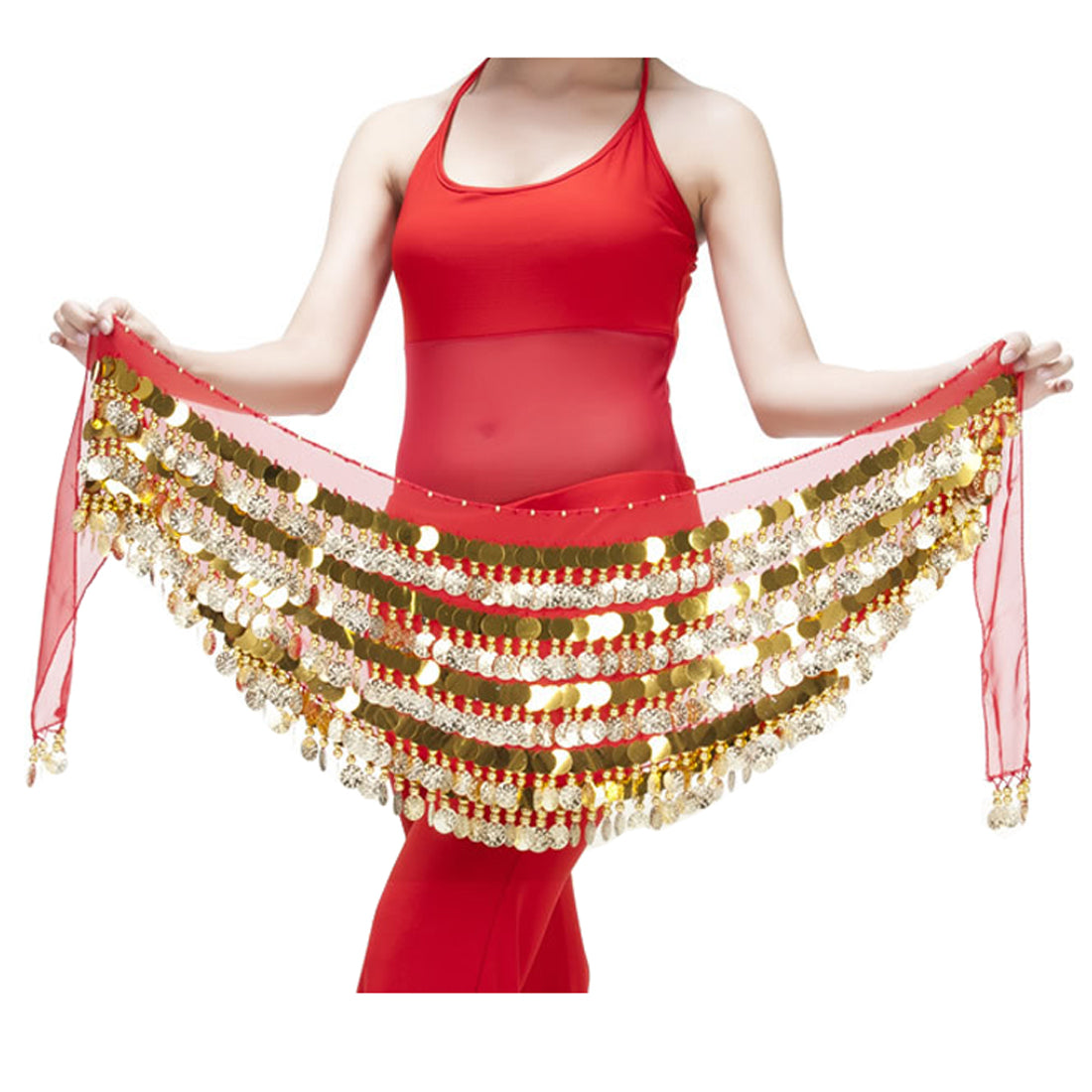 Baisdan Belly Dance Hip Scarf Chiffon Belly Dance Scarf Wrap Belt Tribal Sash Skirt with Gold Coins