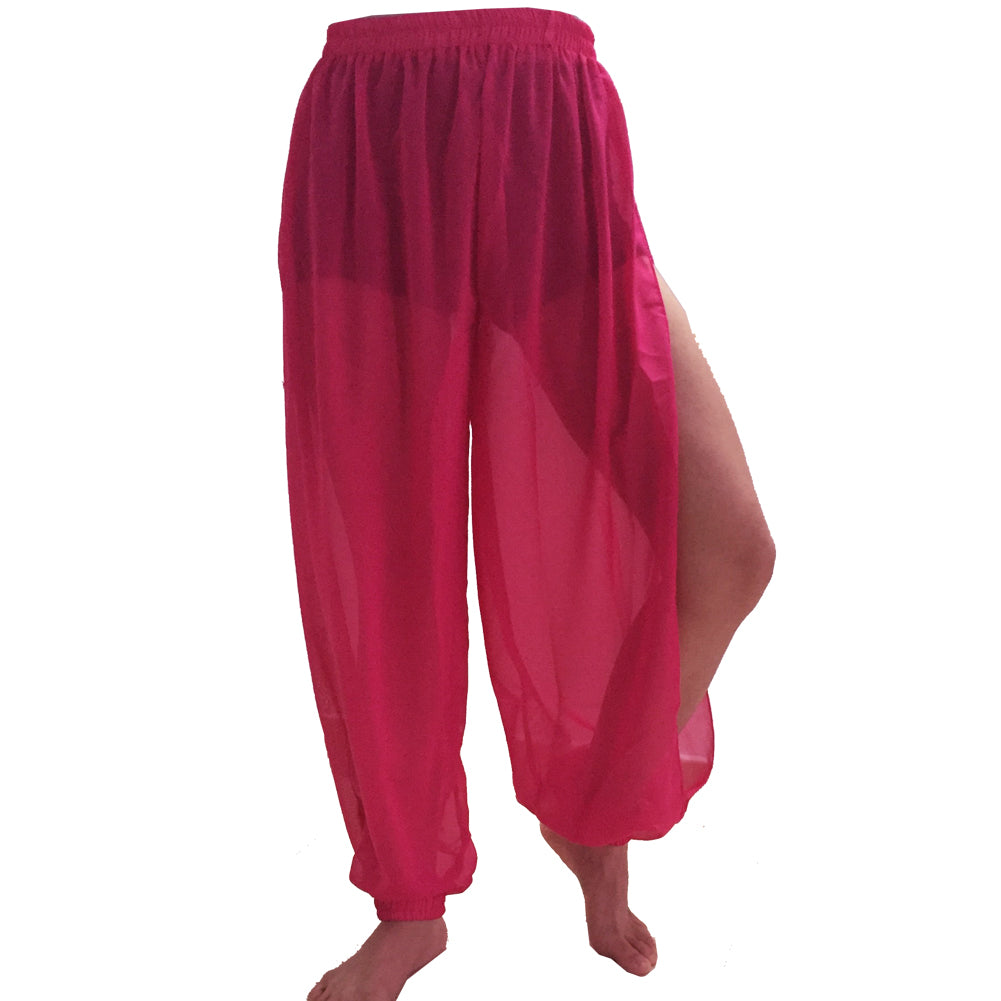 Baisdan Size XS-XL High Waist pants YOGA trousers Costume Belly Dance Harem trousers