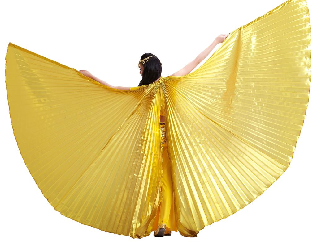 Baisdan Women's Egyptian Egypt Belly Dance Costume Bifurcate Isis Wings(Only wing)