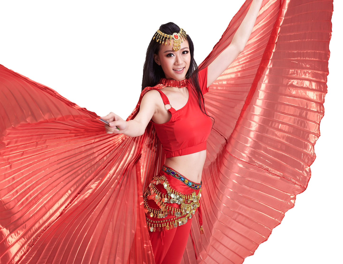 Baisdan Women's Egyptian Egypt Belly Dance Costume Bifurcate Isis Wings(Only wing)